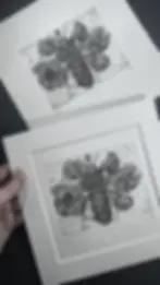 Lencten. Copperplate Aquatint etching. Bee In Flowers. Original Intaglio Print.Dionne Marshall.