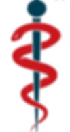 caducee seul_edited.jpg