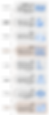01.png