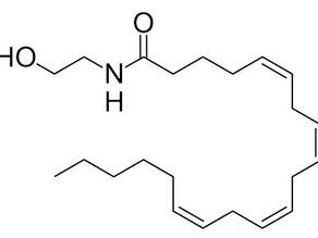 四種主要大麻素
