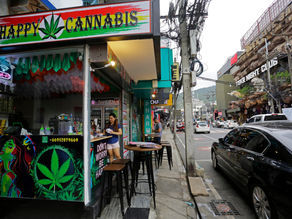 泰國近期通過新法規塑造合法大麻市場