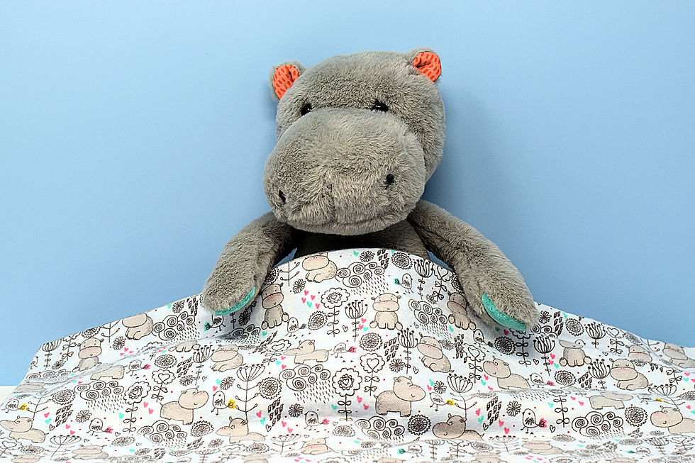 "Baby Hippos" No-Sew Baby Blanket