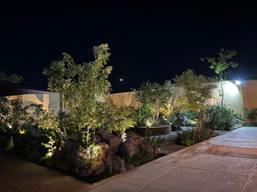 Jardín nocturno iluminado con plantas y rocas