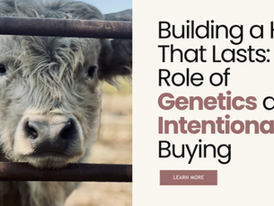 Building a Herd That Lasts: The Role of Genetics and Intentional Buying