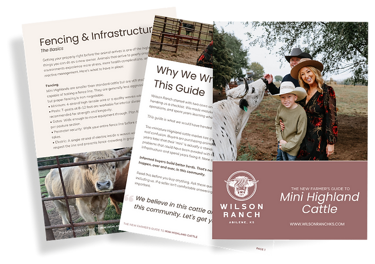Free Download: The New Farmers Guide to Mini Highland Cattle
