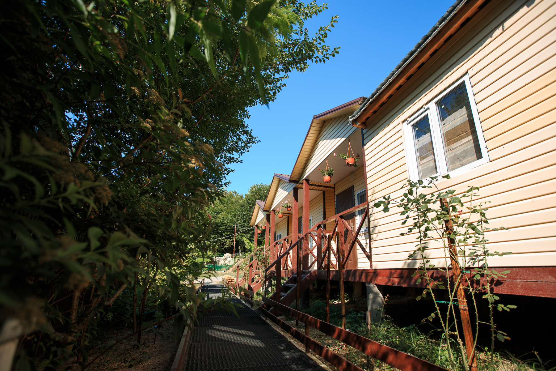дома на мамайке. сочи дачи недорого. дом в сочи на мацесте. сочи дачи недорого. мацеста частный сектор.