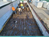 20210418_082600 - Copy.jpg