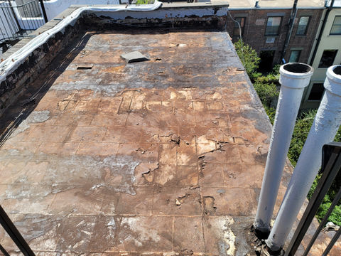 20210903_124806 - Copy.jpg