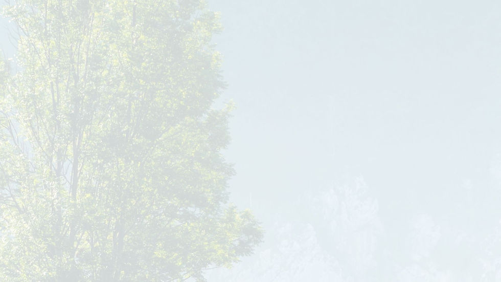 Why Partner With Us-bg3.jpg