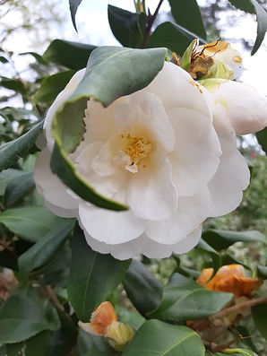 20190406_161332.jpg