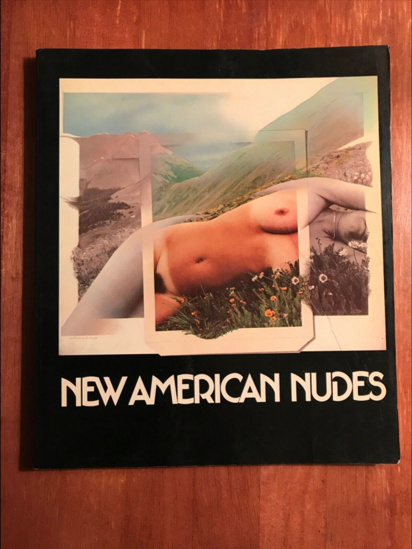 NEW AMERICAN NUDES Recent trends and attitudes by Arno Raphael Minkkinen 1981
