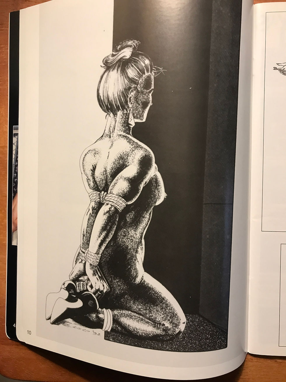 Thumbnail: LOVE BONDAGE GALLERY #28, 1993, LDL Harmony Female Bondage Magazine