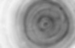 AdobeStock_293699652.jpeg