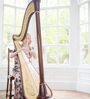 Emma_Harpist_036 (2).JPG