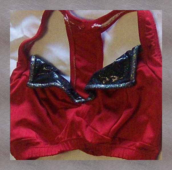 Wrangler Red Silver Crop.JPG