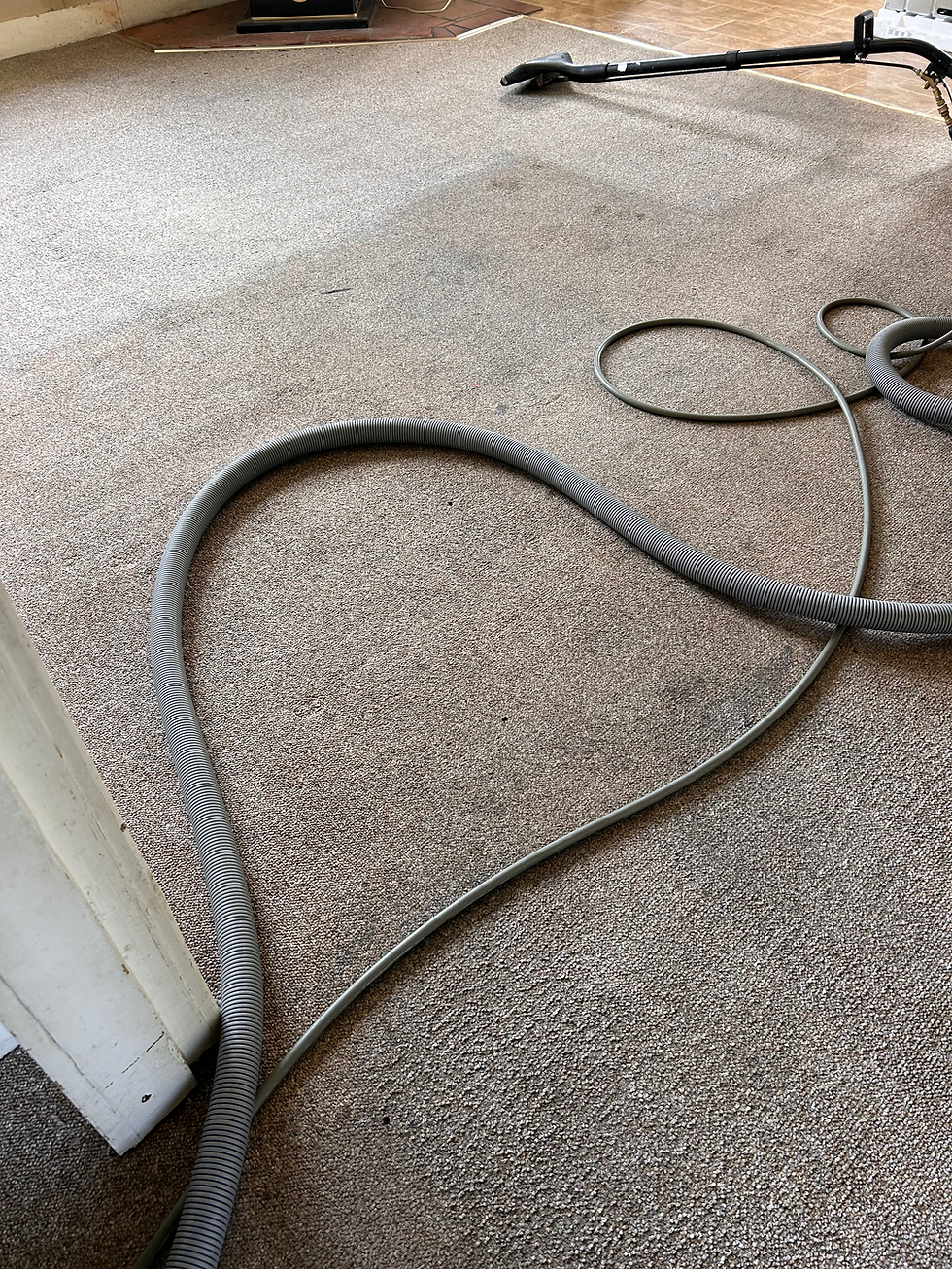 ‘Standard Carpet Clean’