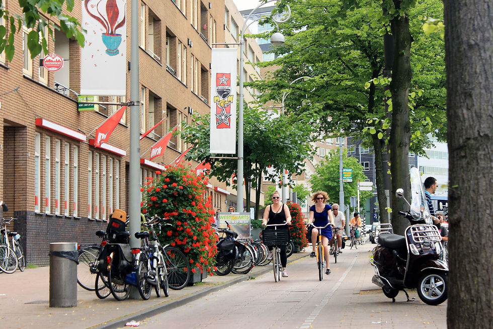 Serie 1 Bos en Lommer