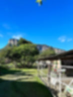 20230415_102818_136877