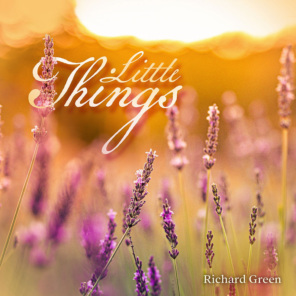 Cherishing the Simple Joys in Richard Green's "Little Things"