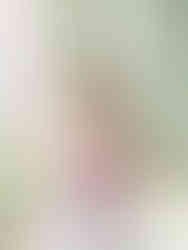 Melissa Davis Designs bride posing with bright pink bouquet