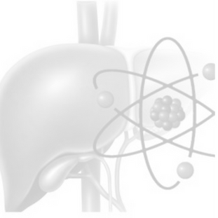 pharmakokinetic_edited_edited_edited_edi