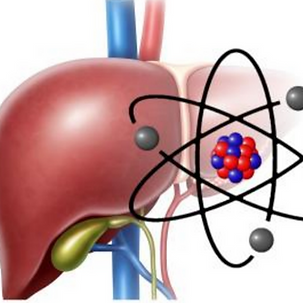 pharmakokinetic_edited_edited_edited.png
