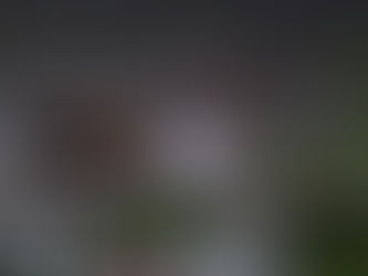 Bearing Witness/Holding Space: Screening + Discussion