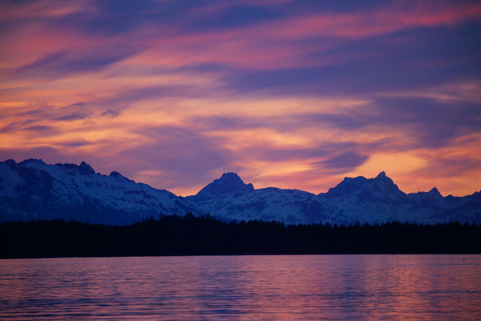 E2DBEC11-FCC1-4E2B-B0D7-B6D7C27D2839