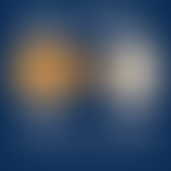 FBA o FBM? Come scegliere il modello giusto nel 2025 per massimizzare i profitti