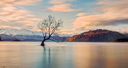 sept_wanaka 7