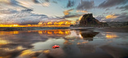 Apr_piha02
