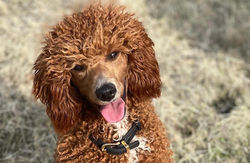 597CE088-1617-47EB-B29F-AC5256DD46D6_edited