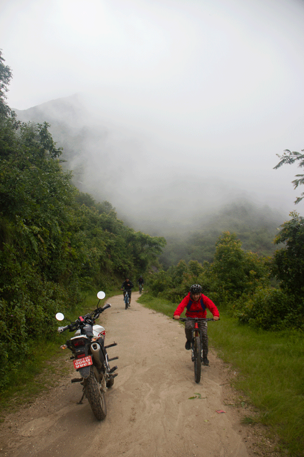 bike-1.gif