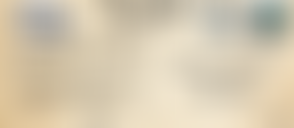 A Summer In the Adirondacks