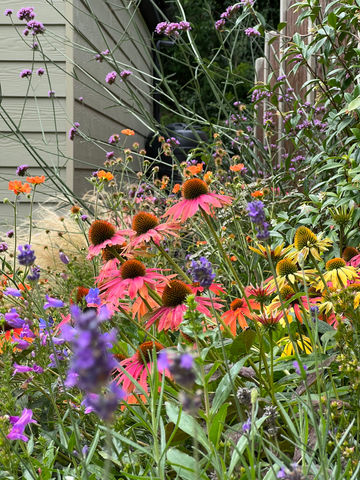 Garden design Epping