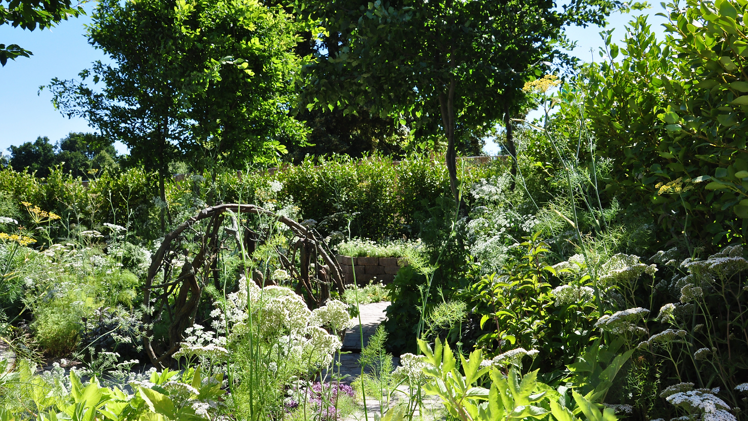 A diverse garden