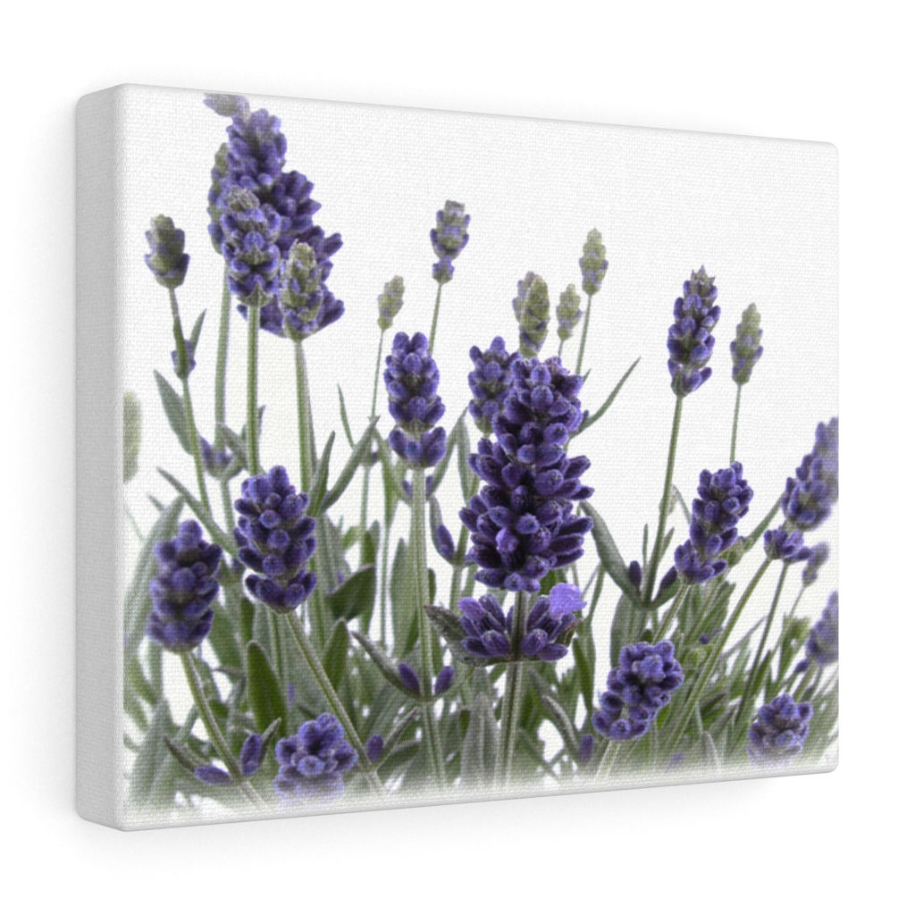 Custom Lavender Canvas Wrap