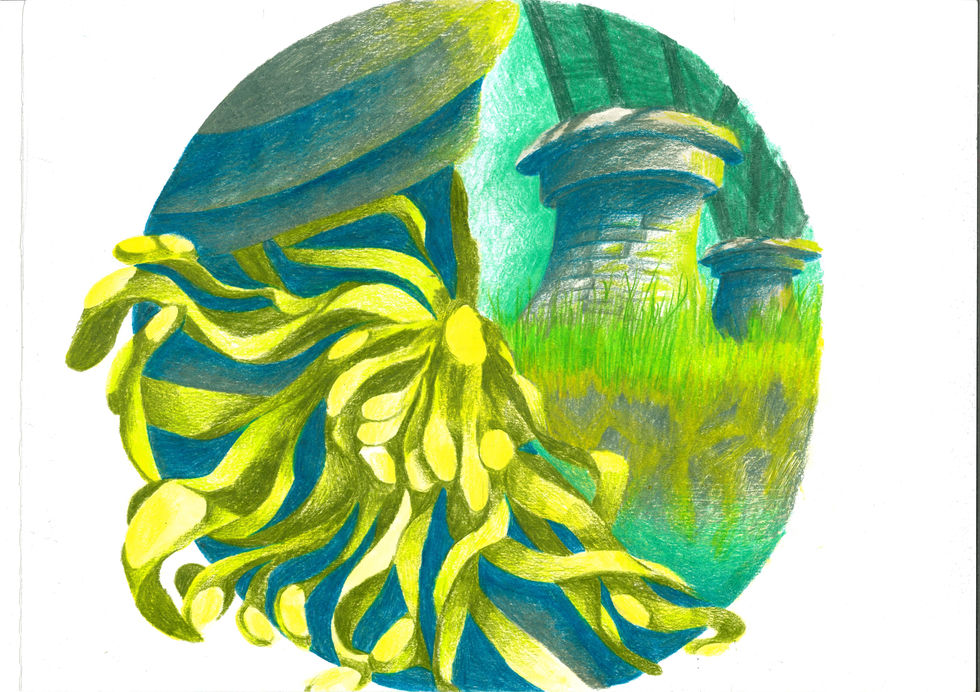 UTF-8scan_10219527_2025-04-29-09-45-38