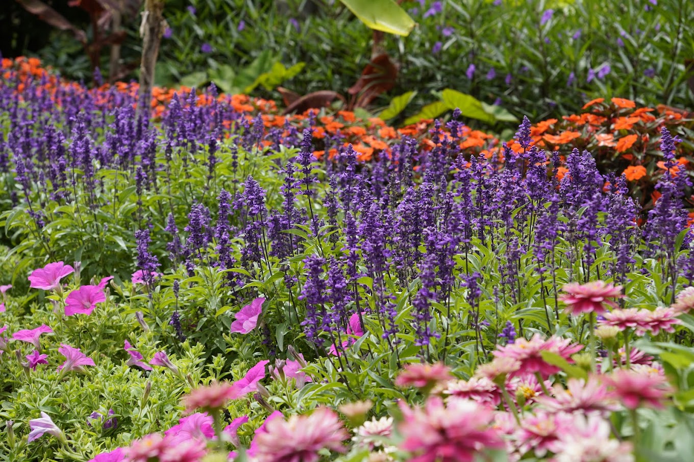 Clark Botanic Garden in Albertson