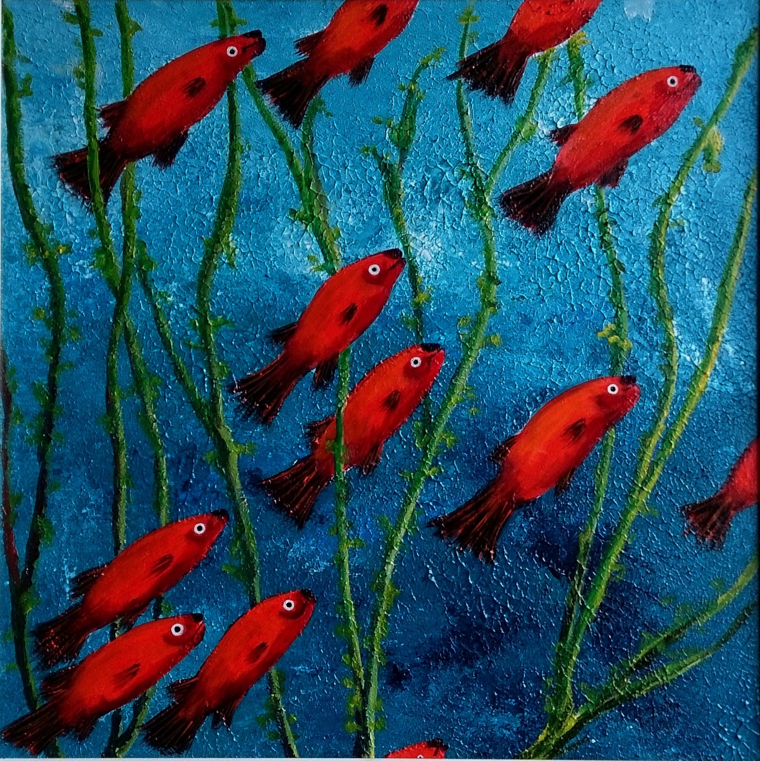 Red Wag Platys