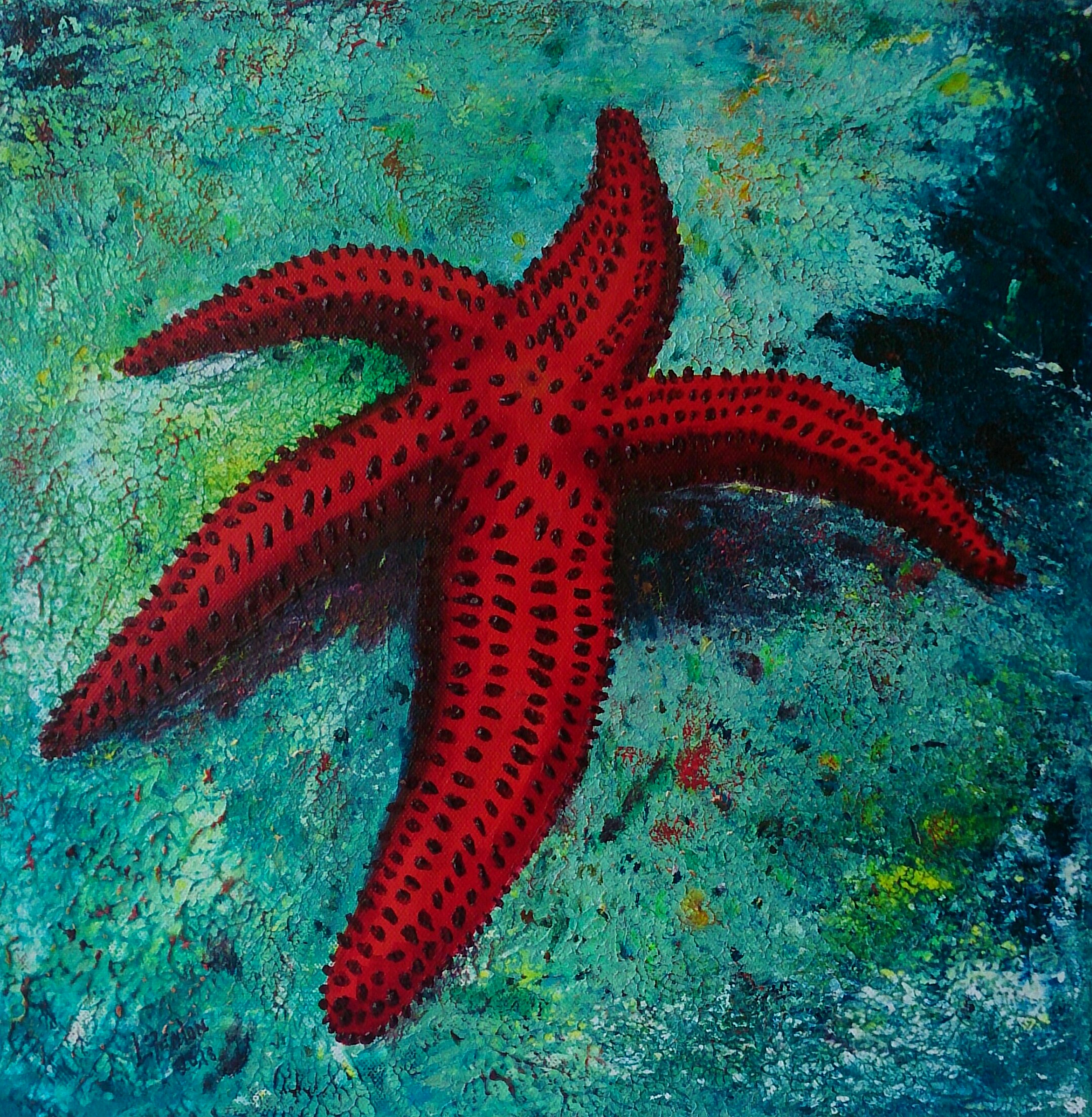 Red Starfish - SOLD