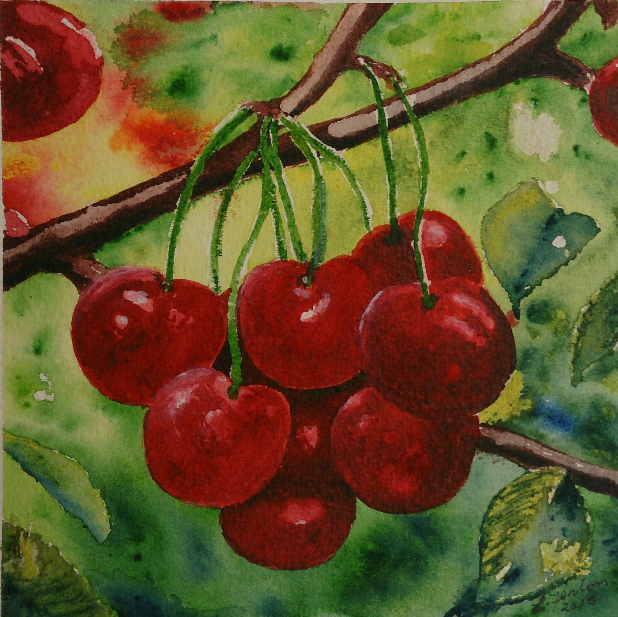 Cherries