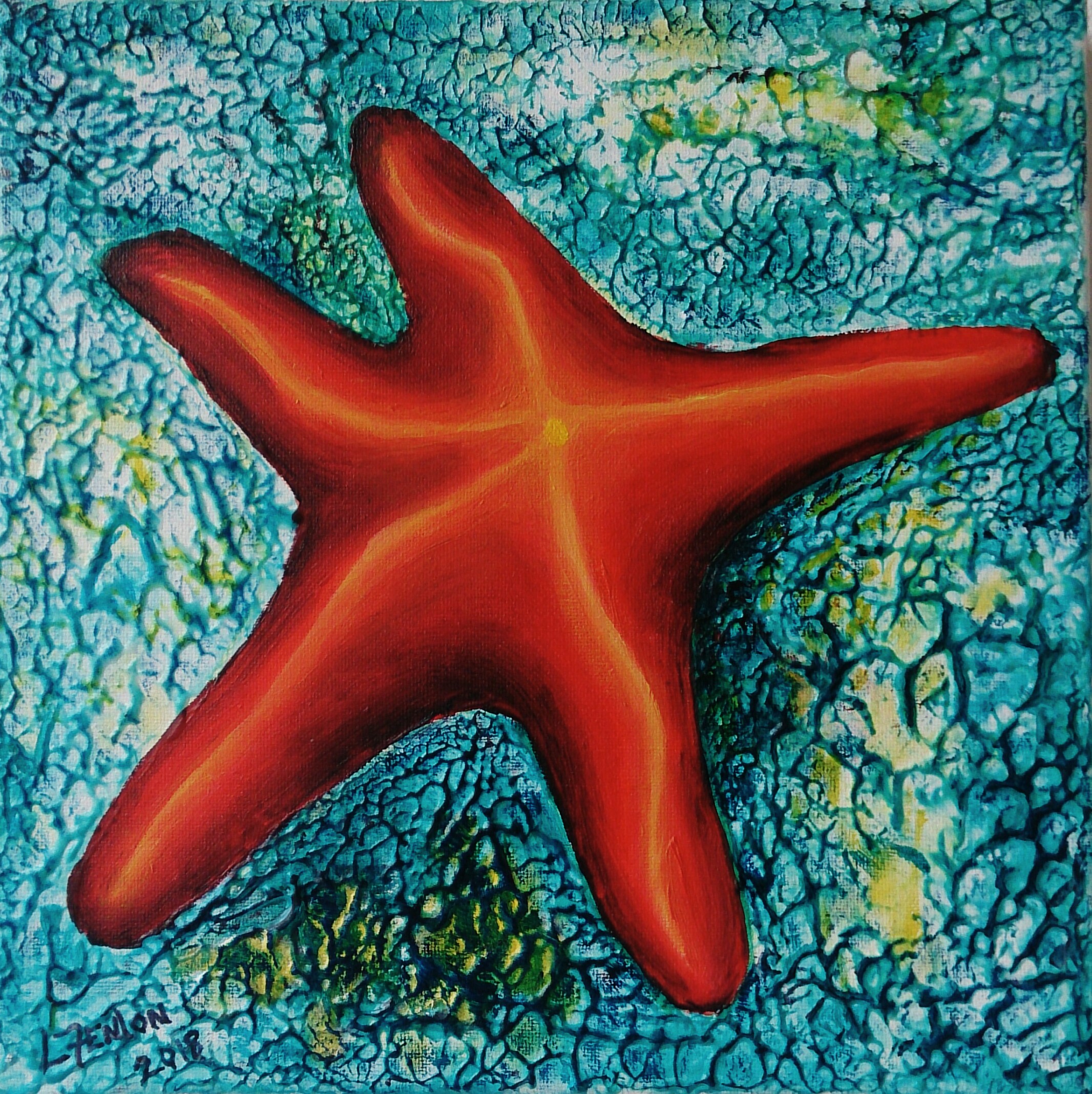 Baby Starfish