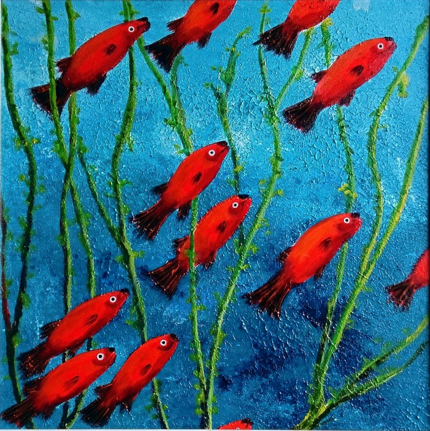 Red Wag Platies