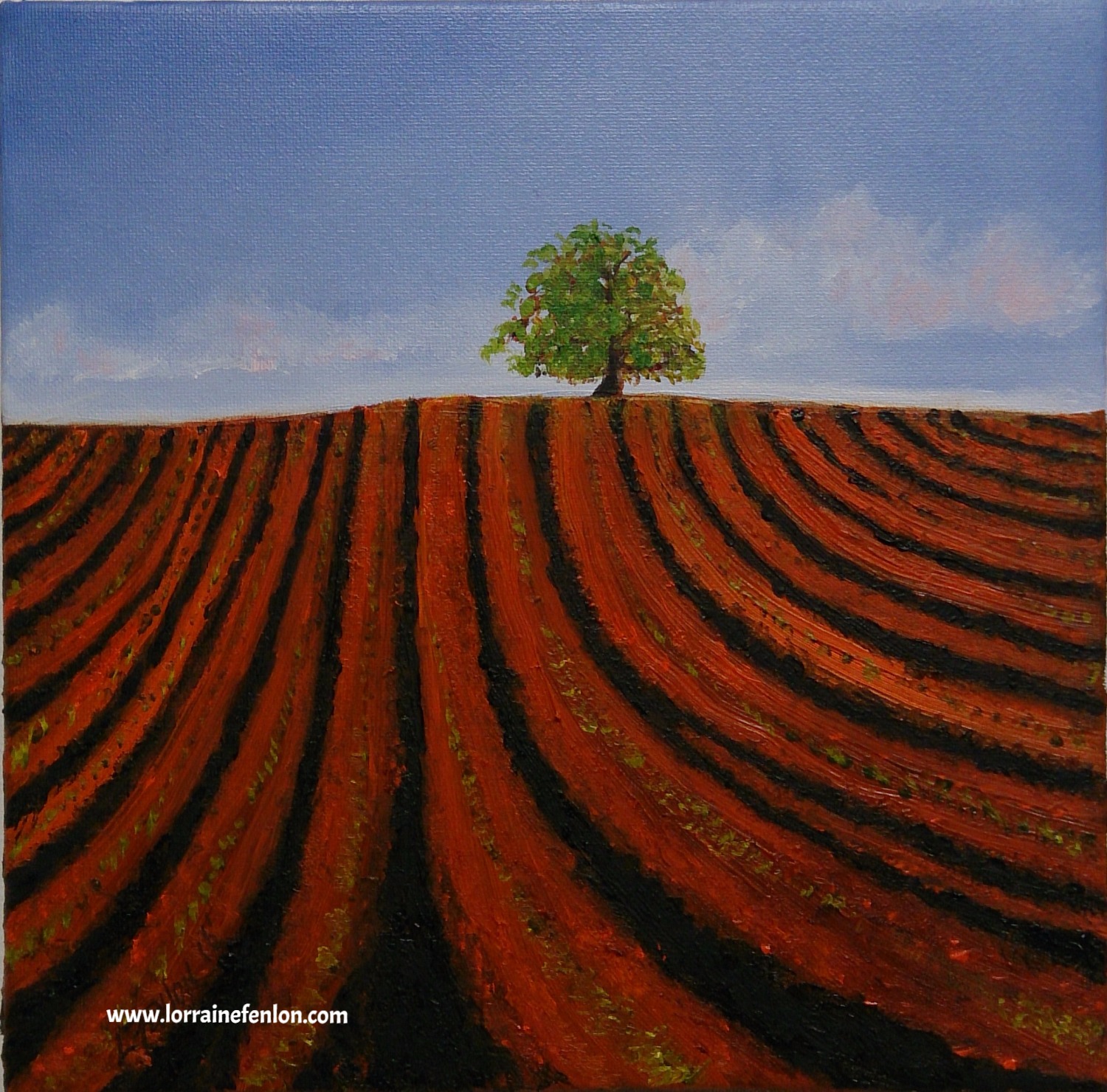 Copper Field - Oil 20 x 20cms framed