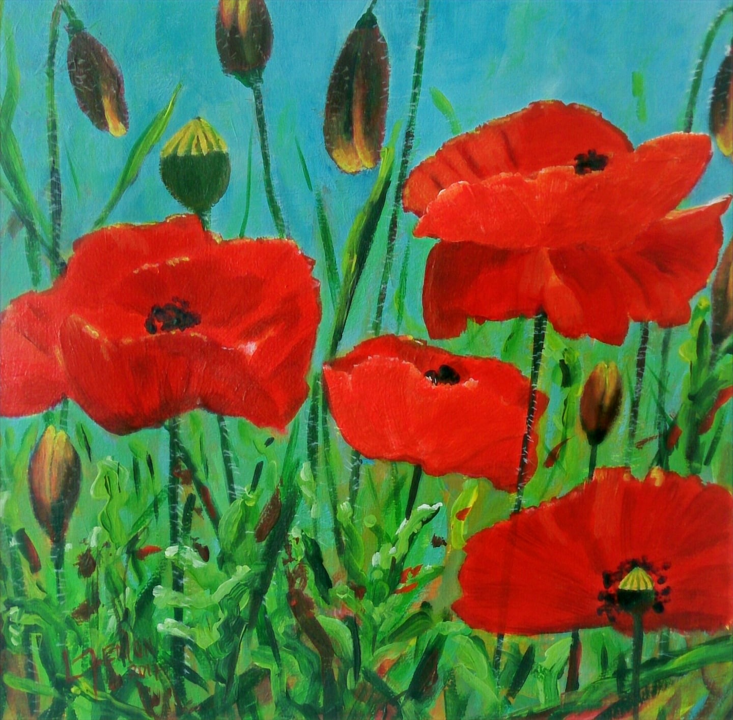 Poppies & Blue Sky