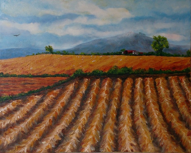 Awaiting the Baler II 40 x 50 x 4cms