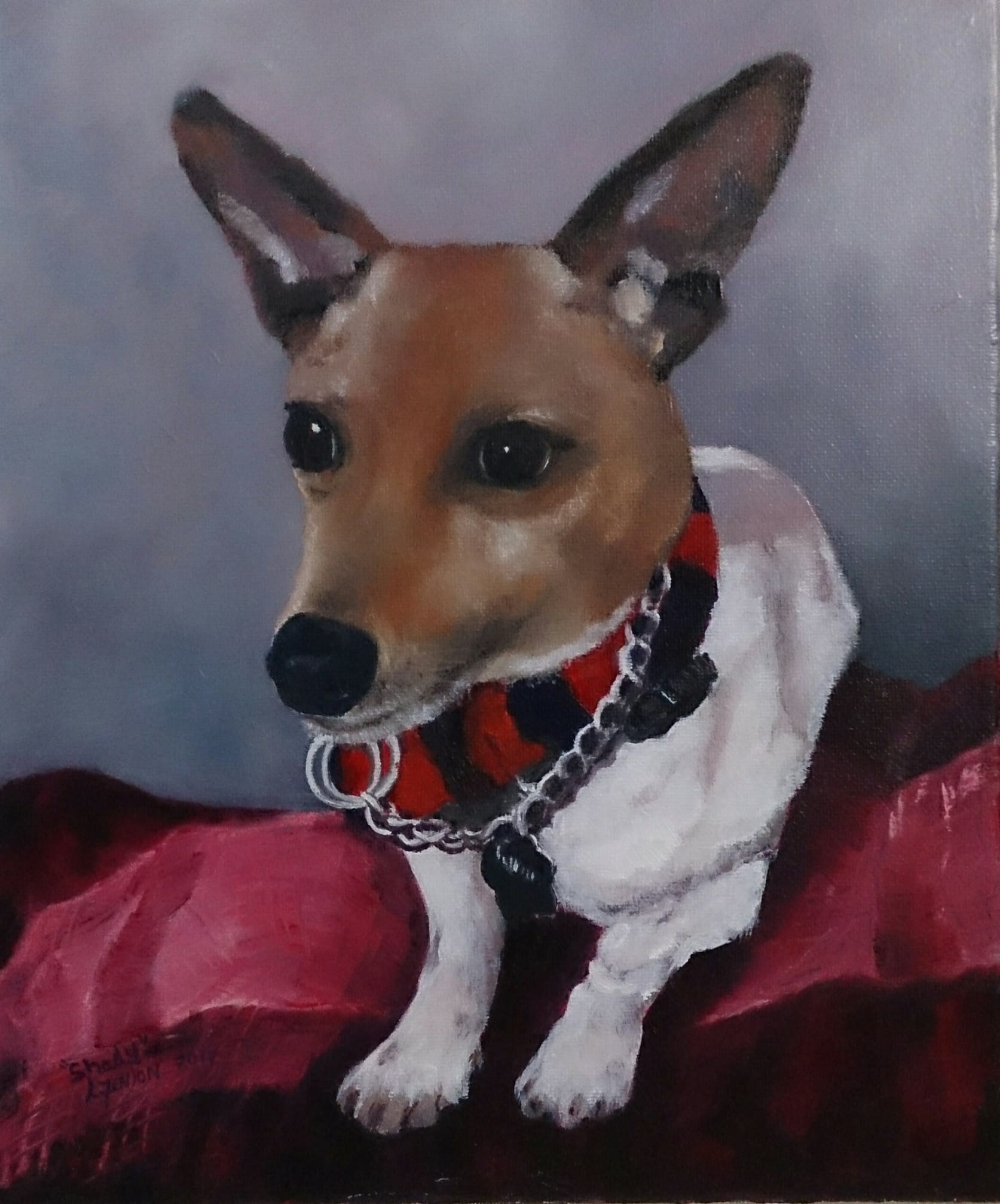 Pet Portraits