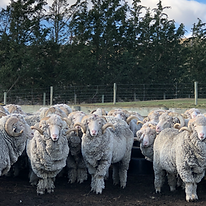 Hakataramea Valley Sustainability Collec