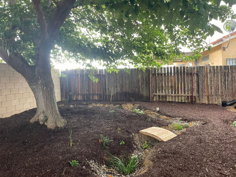 Rain garden and Veggie raised beds- Lancaster, CA    